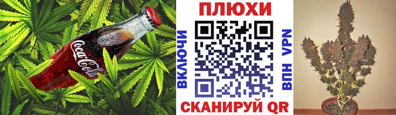 сколько стоит даркнет телеграм Cannafood марихуана Егорьевск blacksprut сайт