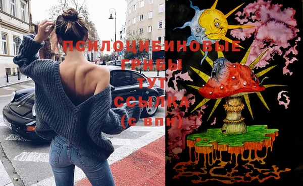 шишки Алексин