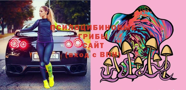 шишки Алексин