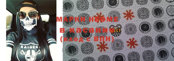 шишки Алексин