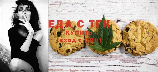 тгк Алзамай
