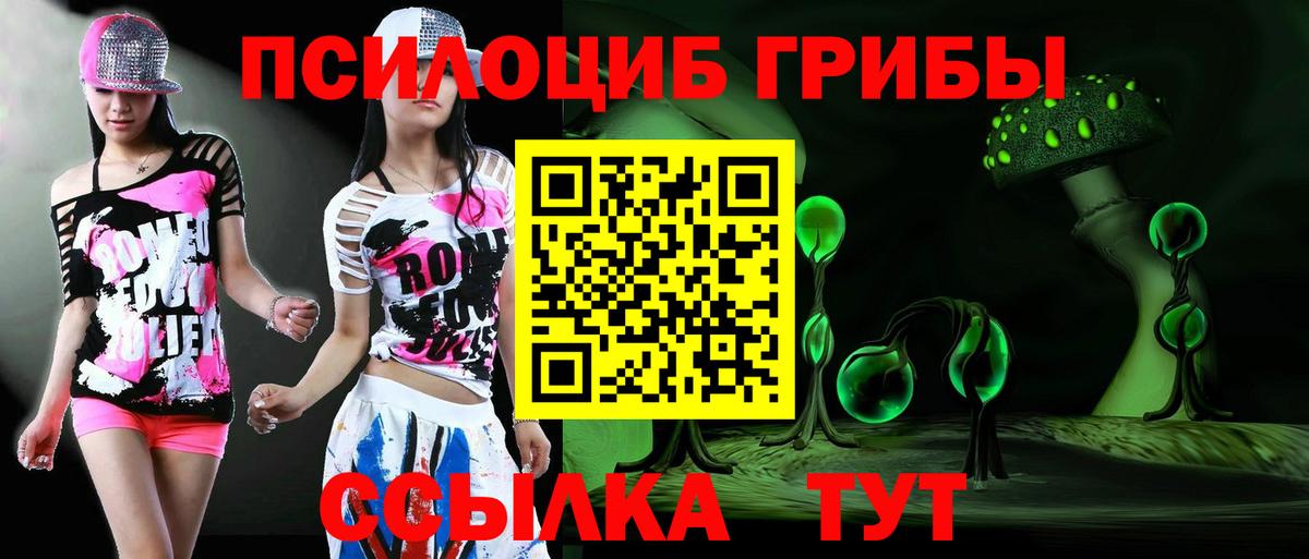 Егорьевск  Галлюциногенные грибы мицелий  Вход с VPN 